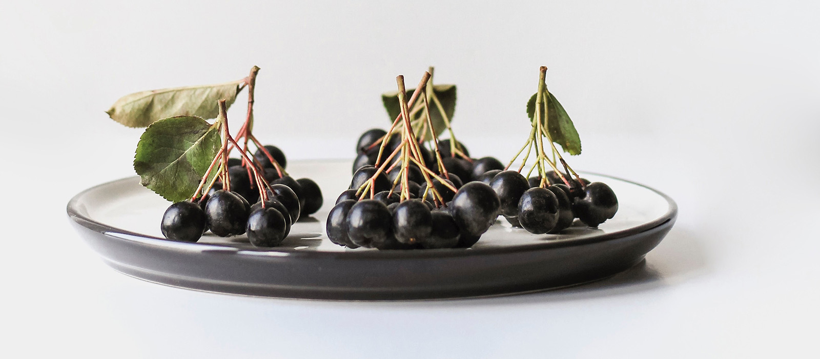 Aronia Berries Juice Stop